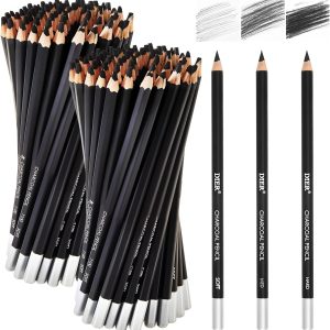 Geyoga 180 Pcs Professional Charcoal Pencils Drawing Set Soft Medium and Hard Charcoal Sketch Drawing Pencils for Beginners Artists Shading Sketching