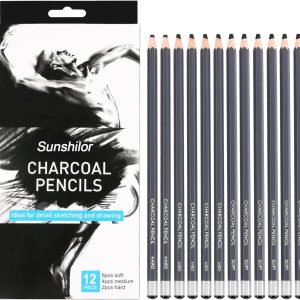 Sunshilor Professional Charcoal Pencils Drawing Set, 12 Pieces Soft Medium Hard Charcoal Pencils for Drawing, Sketching, Shading, Artist Pencils for Beginners & Artists