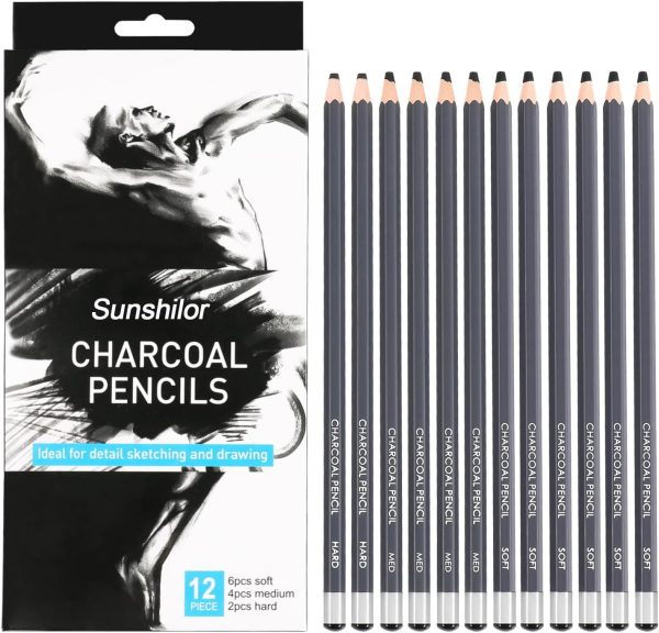 Sunshilor Professional Charcoal Pencils Drawing Set, 12 Pieces Soft Medium Hard Charcoal Pencils for Drawing, Sketching, Shading, Artist Pencils for Beginners & Artists
